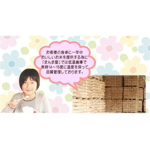 クーポン利用で10％OFF 新米 つきあかり 10kg(5kg×2袋) 福島県産 お米 5年産 送料無料『令和5年福島県会津産つきあかり(白米5kg×2)』