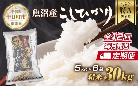  新潟県 魚沼産 コシヒカリ お米 30kg×計12回 精米済み 年間 毎月発送 こしひかり（お米の美味しい炊き方ガイド付き）