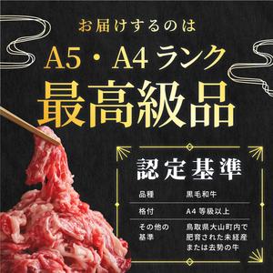 ふるさと納税 HA-02　肉質日本一の和牛「大山黒牛」切り落とし1kg 鳥取県大山町