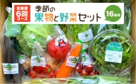  季節の果物と野菜セット 16品目