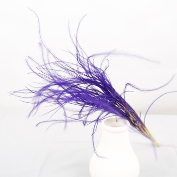 星樂花坊日本大地農園蘆葦草白色羽毛草配草DIY仙氣十足1入