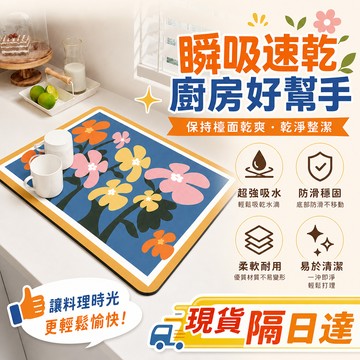 台灣現貨 瀝水墊 吸水墊 台面瀝水墊 桌吧台隔熱墊 矽藻泥吸水墊 餐具碗盤餐墊 廚房洗手台吸水墊子 灶台洗碗池桌面隔水墊