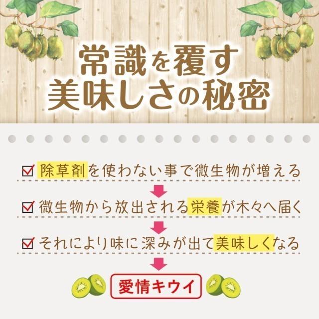 キウイ フルーツ 通常品 12kg 送料無料 国産 ギフト 果物 くだもの 家庭用 産地直送