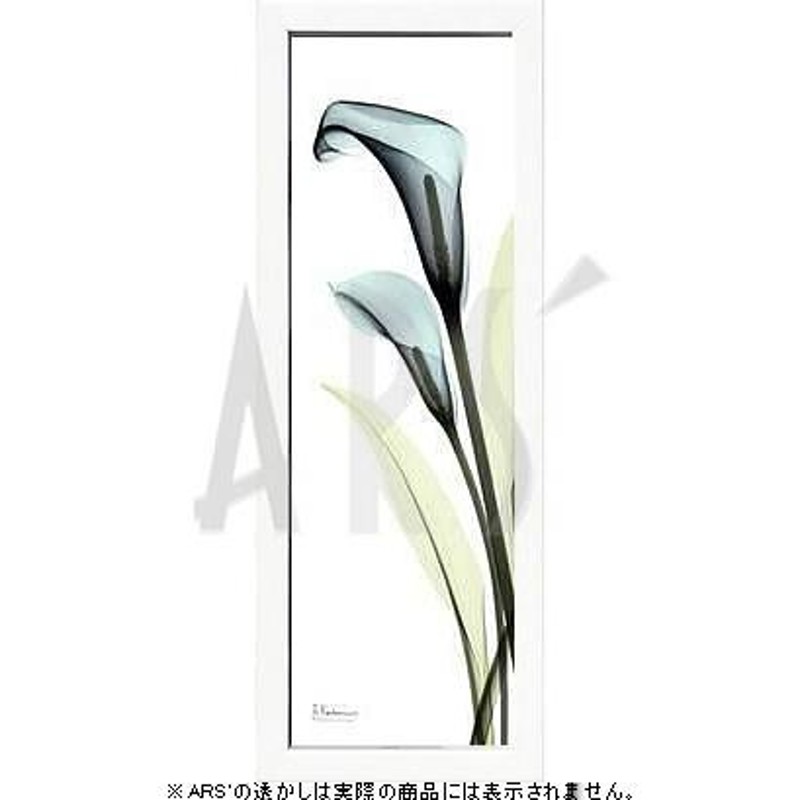 レントゲンアート 花 x-ray art アートパネル アートポスター アート