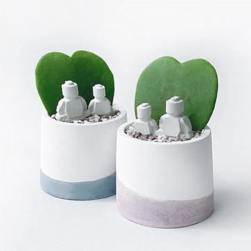 (預購) me & you 心葉球蘭 情人節精選禮物 圓形莫蘭迪水泥植栽