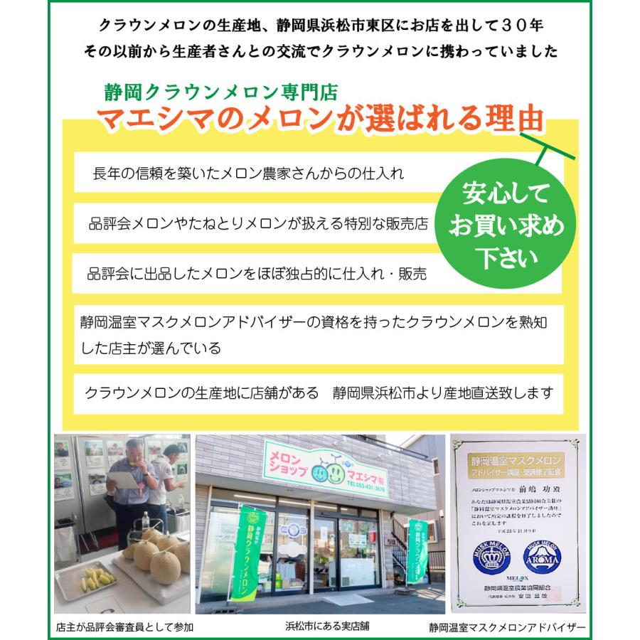 クラウンメロン×国産うなぎ肝のたれ煮プレミアムセット(クラウンメロン山等級1玉×国産うなぎ肝のたれ煮×３) 静岡クラウンメロン うなぎ ギフト 贈答