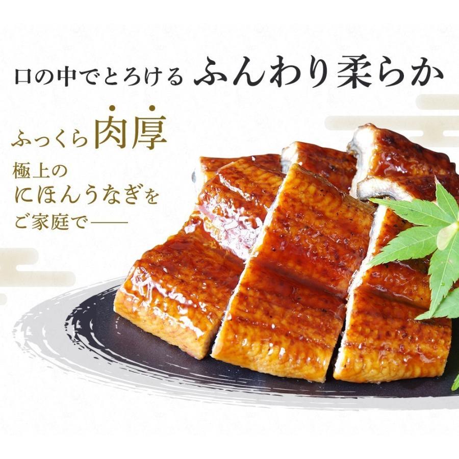 うなぎ 蒲焼き ウナギ 鰻 新仔 500円OFFクーポン有 新仔にほんうなぎ蒲焼き 約140g×2尾 280g前後 台湾産 タレ山椒付 食べ方ガイド付 化粧箱入 シールのし対応