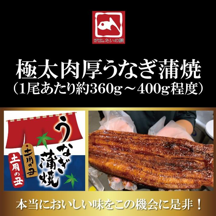 鰻 ウナギ うなぎ 特大肉厚うなぎの蒲焼き 丸ごと1尾 350gから400g程度 ウナギの蒲焼 蒲焼き 贈り物 プレゼント 魚介 グルメ お歳暮 土用丑の日