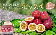 沖縄情熱農園 農薬不使用栽培パッションフルーツ　「蜜の女神」1kg（エコ箱）