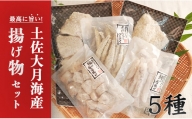 土佐大月海産　揚げ物セット　5種