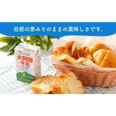 ふるさと納税 大阿蘇牛乳 250ml×24本 1ケース 生乳 100% ミルク 成分無調整牛乳 熊本県宇城市