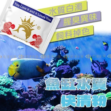 宏洋水族【智洋🔁水質快清粉】實證有效〞快速去氯 消臭 澄清 空氣缸 快清粉 淨水粉 硝化菌 除氯劑 魚缸淨水劑 水質穩定