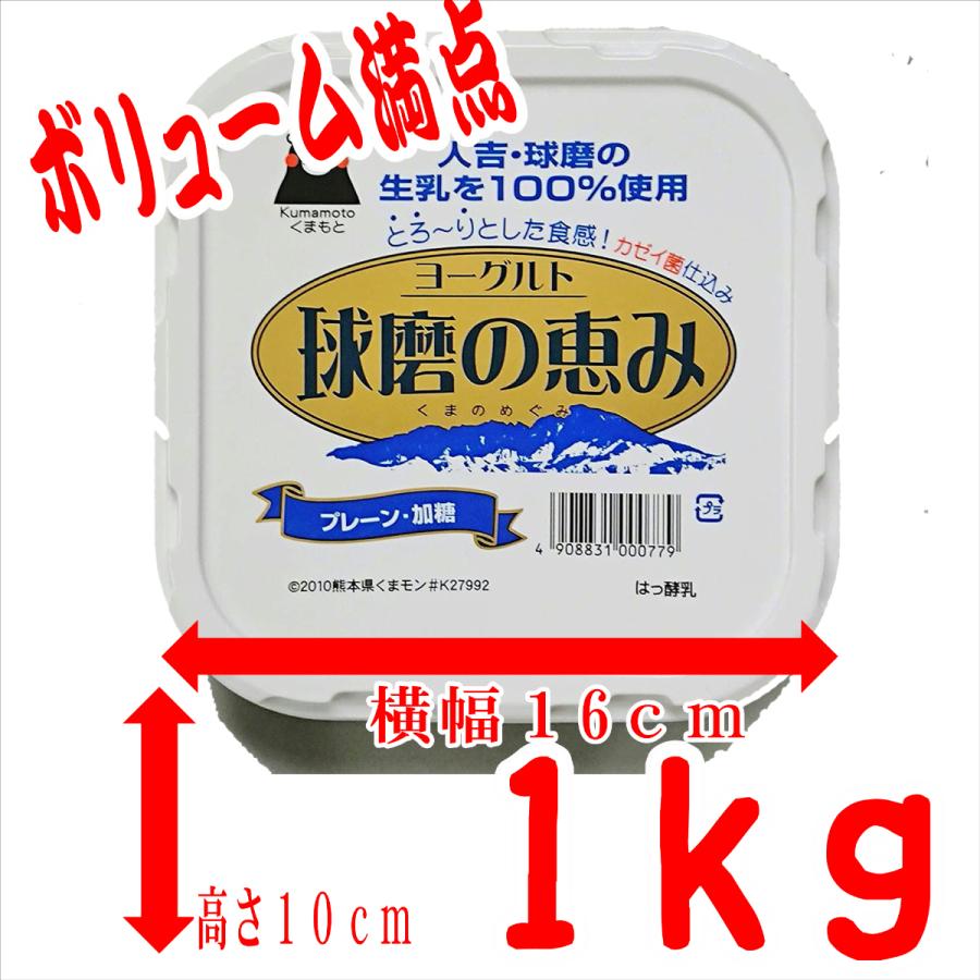 球磨酪農　球磨の恵ヨーグルト無糖１ｋ×1個　加糖１ｋ×1個　計2個　送料無料　人吉球磨　球磨の恵み