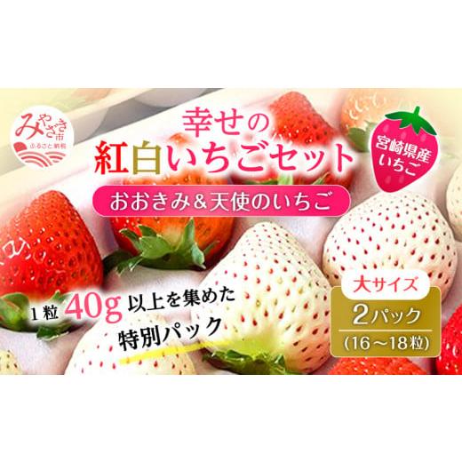 ふるさと納税 宮崎県 宮崎市 期間・数量限定 宮崎県産 イチゴ 幸せの紅白いちごセット おおきみ天使のいちご 大サイズ2パック(16粒〜18粒程度)_M260-010