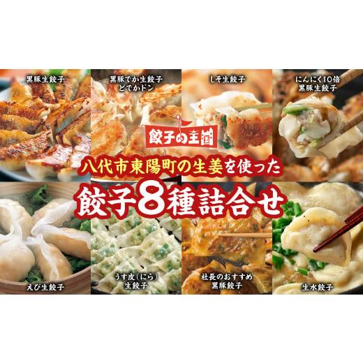 ふるさと納税 熊本県 八代市  八代市東陽町の生姜を使った 餃子の王国 餃子 8種詰合せ 生餃子