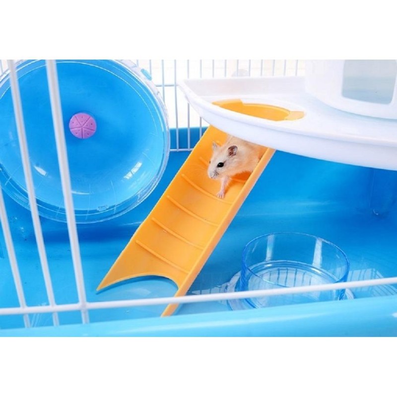 ハリネズミスターターセット 【公式通販】