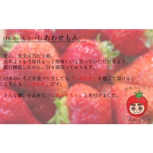 ふるさと納税 福岡県 小郡市 いちご職人 白木のいちご あまおう 1.2kg(300g×4P) 4回コース