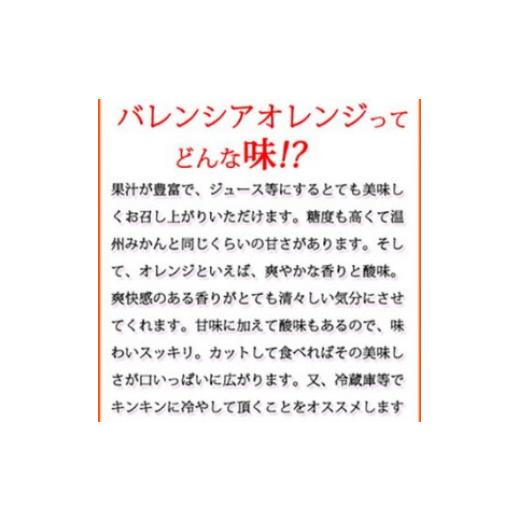 ふるさと納税 和歌山県 美浜町 希少な国産バレンシアオレンジ 7kg　※2024年6月下旬〜7月上旬頃に順次発送予定