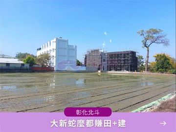 北斗大新蛇麼都賺田+建｜彰化縣北斗鎮大新段