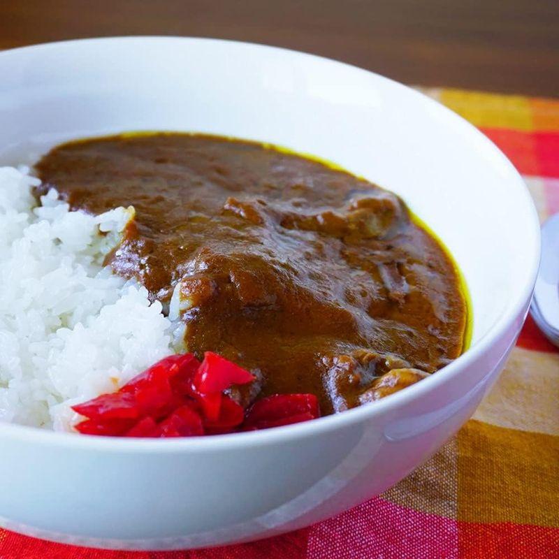 国産牛すじカレ 鳥取和牛 牛すじカレー 250g 10箱セット 鳥取県 ご当地カレー レトルトカレー カレールー