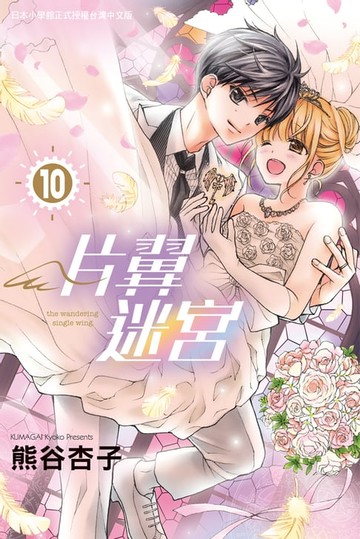 【電子書】片翼迷宮 10 (完)