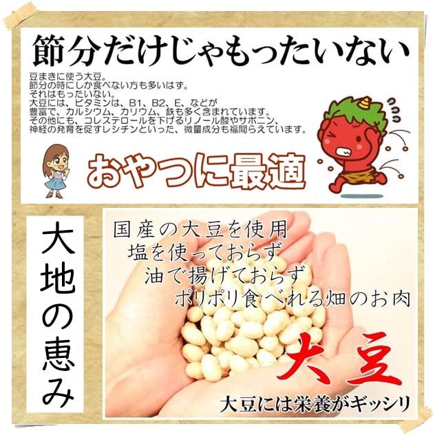 北海道産 素焼き 黒大豆500g 無添加・ノンフライ・塩不使用 畑のお肉