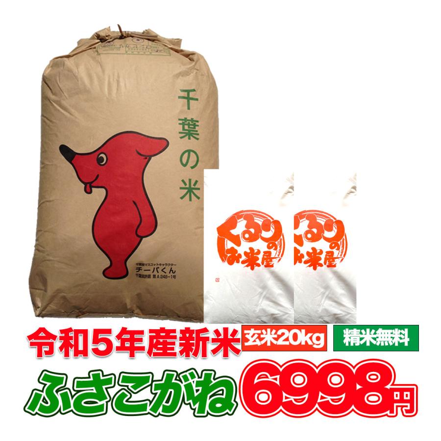 新米 令和5年産 米 20kg お米 ふさこがね 玄米食でも安心の選別済 玄米 白米 精米 コメ 千葉県産 精米無料 送料無料