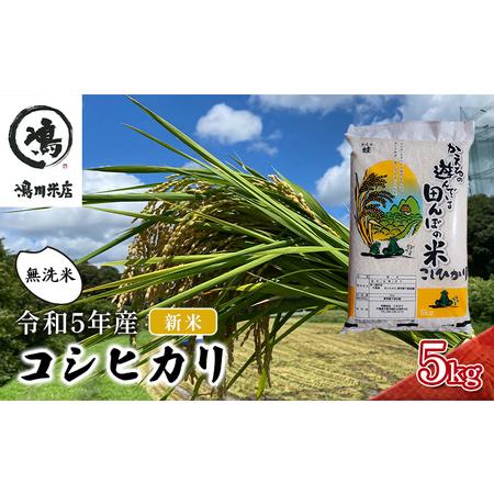 ふるさと納税 新米 コシヒカリ 乾式無洗米 5ｋｇ 令和5年産 千葉県千葉市