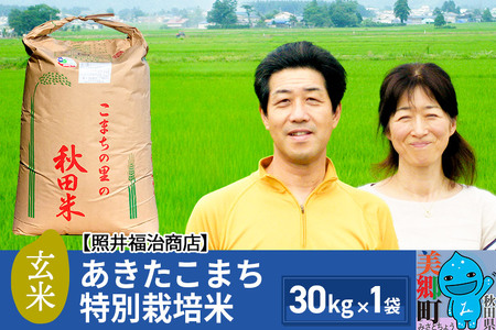 令和5年産 あきたこまち特別栽培米 30kg（30kg×1袋）秋田県産 お米