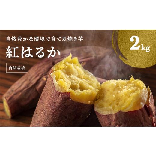 ふるさと納税 富山県 氷見市 自然豊かな環境で育てた焼き芋 2kg（紅はるか）