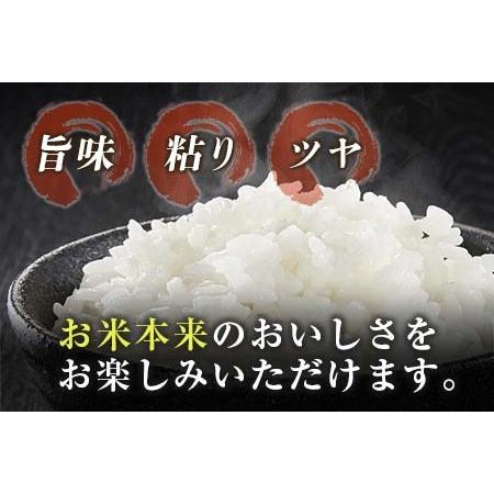 ふるさと納税 ≪数量限定≫新米コシヒカリ計20kg(5kg×4袋)　米　お米　ご飯　国産 DC7-23 宮崎県日南市