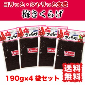 梅きくらげ ご飯のお供 佃煮 760g (190g×4袋) 梅果実 かつお節入り 送料無料 ポイント消化