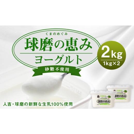 ふるさと納税 熊本県 人吉市 球磨の恵 ヨーグルト 砂糖不使用 1kg×2