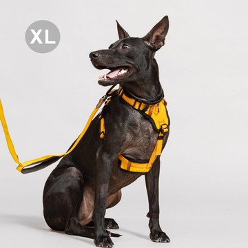 Pawfect-Fit! Pet Harness 機能寵物胸背帶2.0(XL)