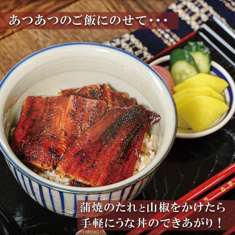 うなぎ 国産 蒲焼き 110ｇ レトルト食品 常温保存  鰻 フーズ・ユー ご当地グルメ ギフト お歳暮