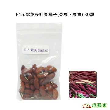 E15.紫莢長豇豆種子30顆(豆莢呈紫色，莢長約50公分.早生.結莢多.品質柔嫩.)豆類種子【綠藝家】