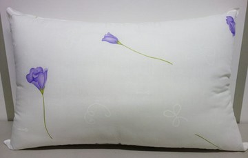 【蓓舒眠】健康防螨抗菌枕2入