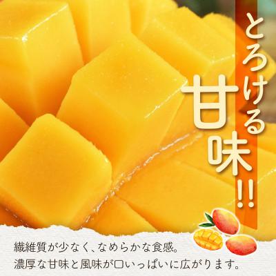 ふるさと納税 新富町 完熟マンゴー3L×2個