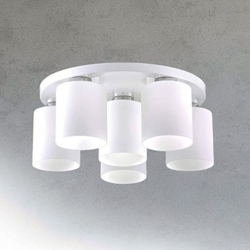 E27燈罩式吸頂五燈 B64-29-72783