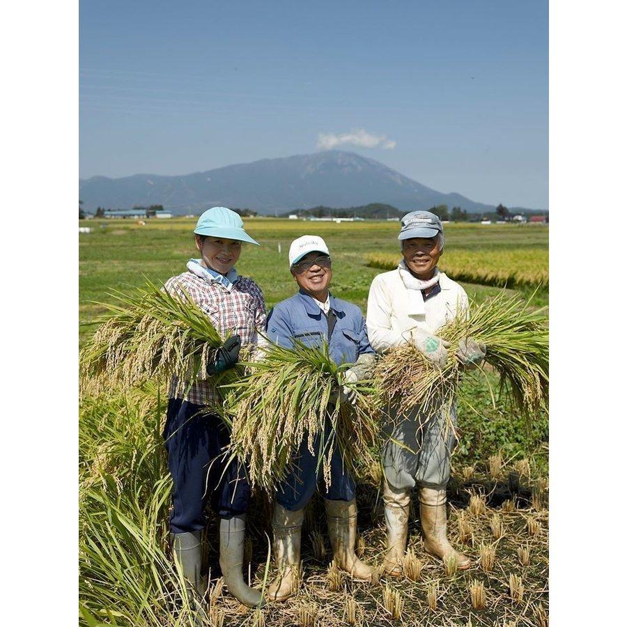 岩手県雫石産 乾式無洗米 5kg 袋