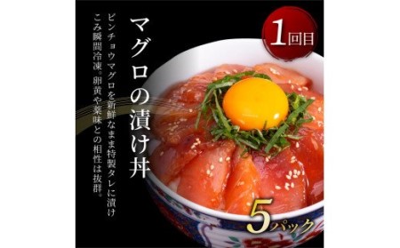 事業者さんを救いたいマグロ2ヶ月定期便／1回目：マグロの漬け丼、2回目：塩昆布14日間熟成マグロ赤身＆中トロセット