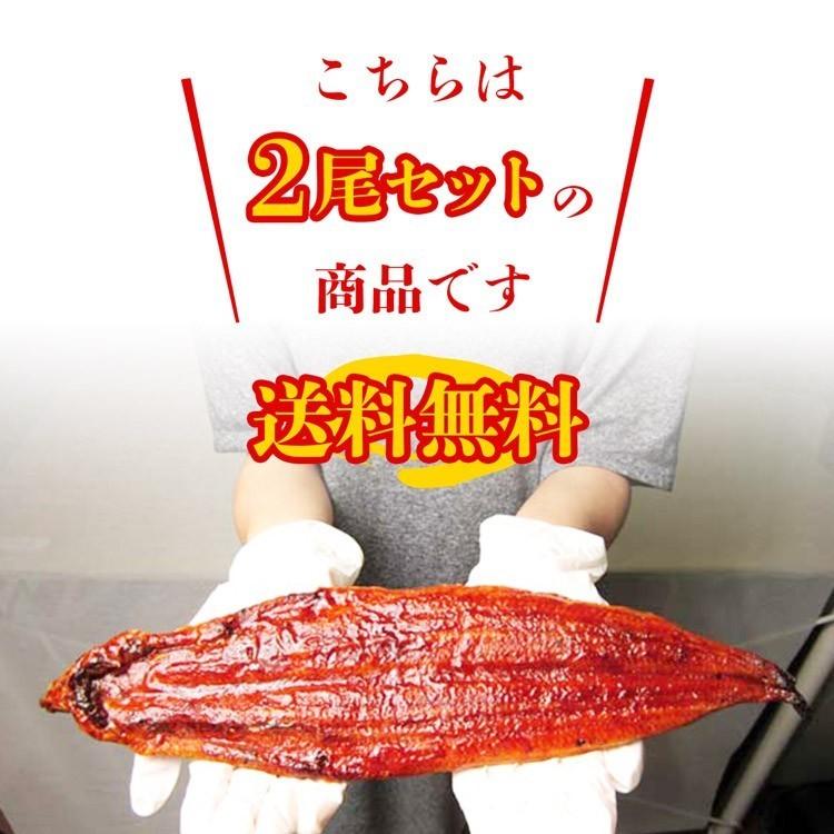 うなぎ 鰻 タレ付き 焼きウナギ 約440g (220g×2尾) 2本 特大 かば焼き 蒲焼き 中国産 冷凍便 ギフト お取り寄せ