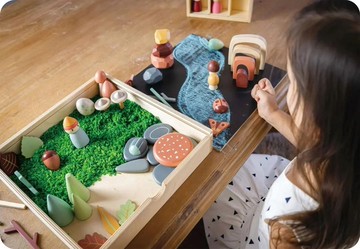 秘密森林藏寶盒