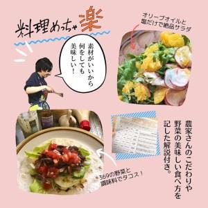 ふるさと納税 ＜３６９商店＞京都丹波産旬の野菜セット ※全て栽培期間中農薬・化学肥料不使用※ 京都府亀岡市