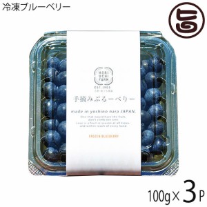 冷凍ブルーベリー100g×3P 堀うち農園 無農薬栽培 安心 安全