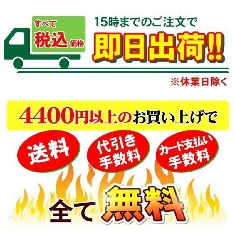 ミネソフトMS-800 赤井電機純正カートリッジ KA-P800 活性炭 AKAI 浄水