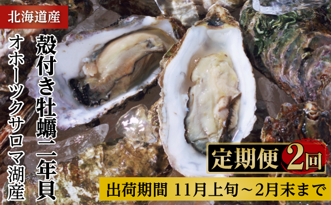 カキ 殻付き 2年貝 約3kg（30個前後） 佐呂間産 ［2回定期便］ 牡蠣 海鮮 魚介 定期便