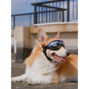 狗狗眼鏡寵物墨鏡柯基邊牧大型犬金毛防風護目鏡泰迪比熊中小型犬