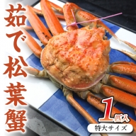 日本海産　ブランド蟹　茹で松葉蟹特大サイズ　matubakani1000