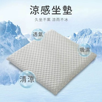 冰觸感涼夏坐墊-藍/灰